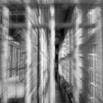 Brasil: Ascensão do Crime Organizado