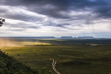 Vencedores do V Desafio Expedição na Montanha