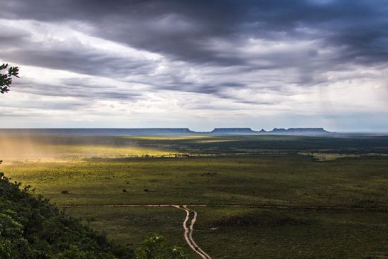Vencedores do V Desafio Expedição na Montanha