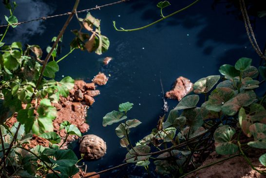 Riacho Tué em Ribeira do Pombal -BA pede socorro.