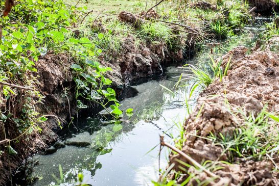 Riacho Tué em Ribeira do Pombal -BA pede socorro.