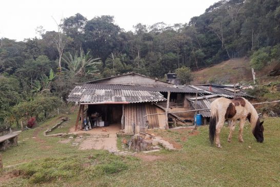 casaprofakatia