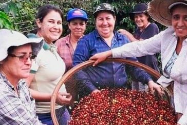 O Café das Mulheres do Paraná