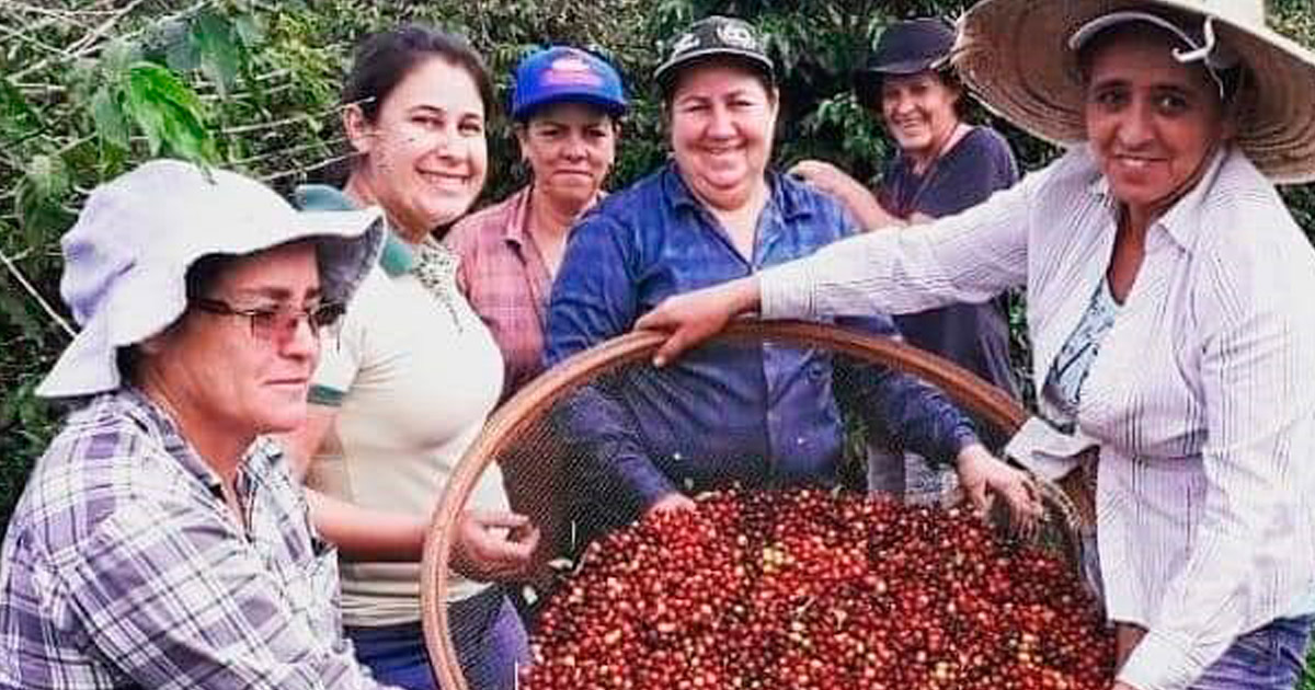 Mulheres do Café