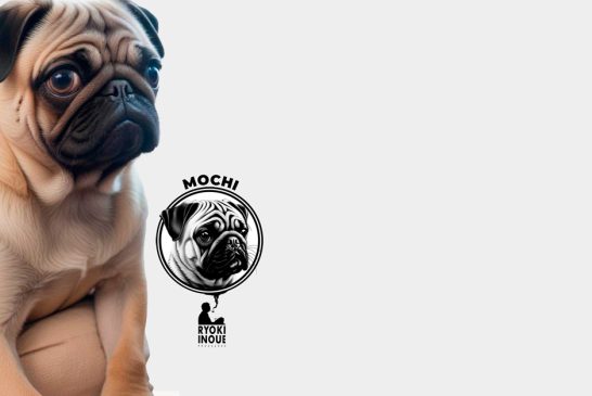 Pug vira mascote e revela algo surpreendente na literatura